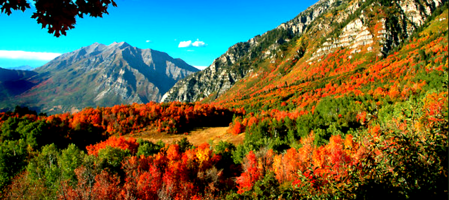 Trésor chromatique - montagnes en automne