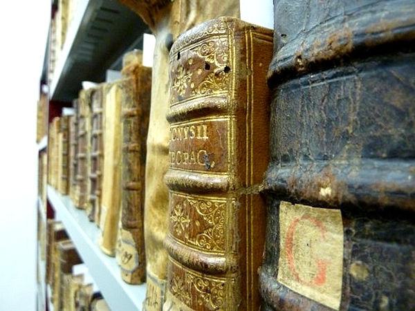 Fonds anciens - livres Annecy